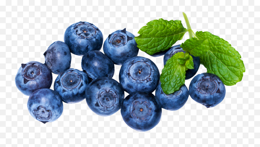 Download Fresh Blueberries Png Image - Blueberries Png,Berries Png