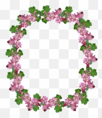 Borders Heart Clipart Transparent Png - 110k cliparts
