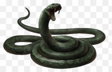 Pngs For Moodboards U2014 Slytherin Aesthetic Harry - Harry Potter Snake Png,Slytherin Png