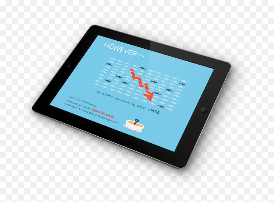 Shark Fin Free - Information Pamphlet U0026 App U2014 V C Vincci Chan Graphic Designing In Tablet Png,Shark Fin Png