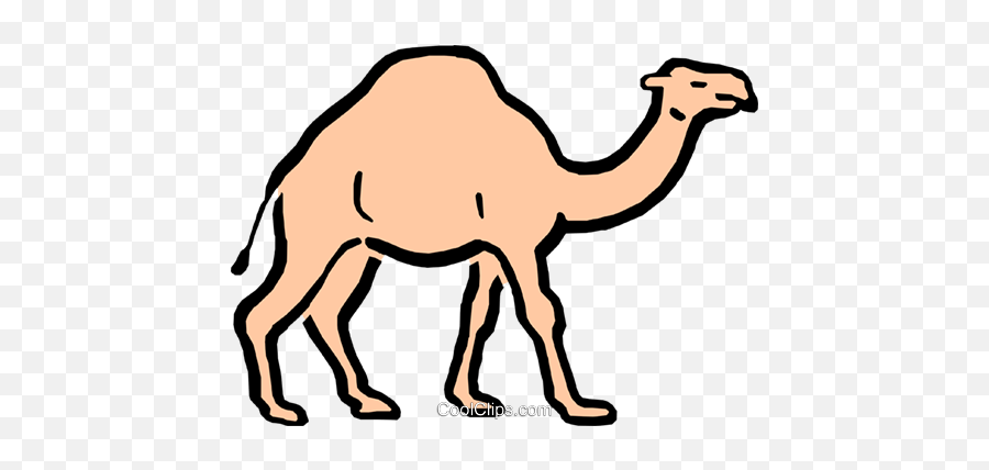 Cartoon Camel Royalty Free Vector Clip Art Illustration - Clip Art Png,Camel Transparent