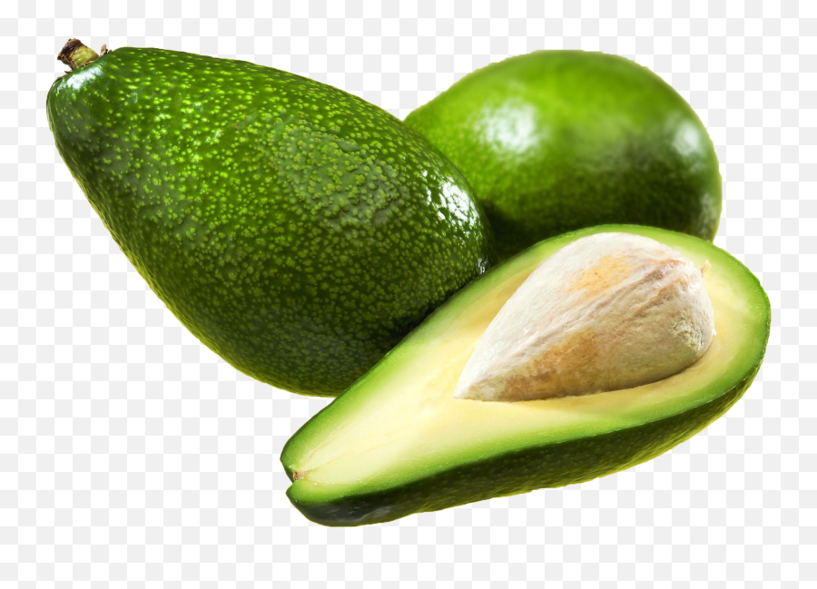 Avocado Png Download - Avocado,Avacado Png