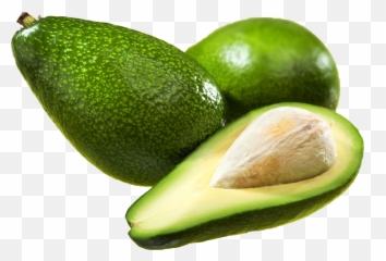 Avocado Png Download - Avocado,Avacado Png