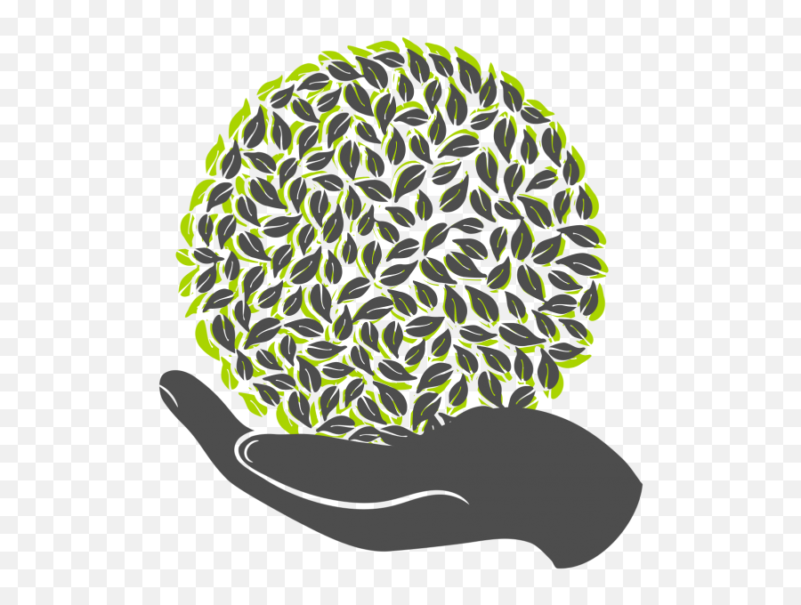 Download Hd Tree In Hands Logo Vector Png - Arbol En Manos Hands For Logo Png,Hands Logo