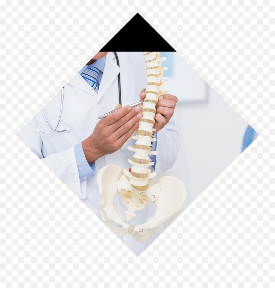 Back Spine Conditions - Medical Spine Png,Spine Png