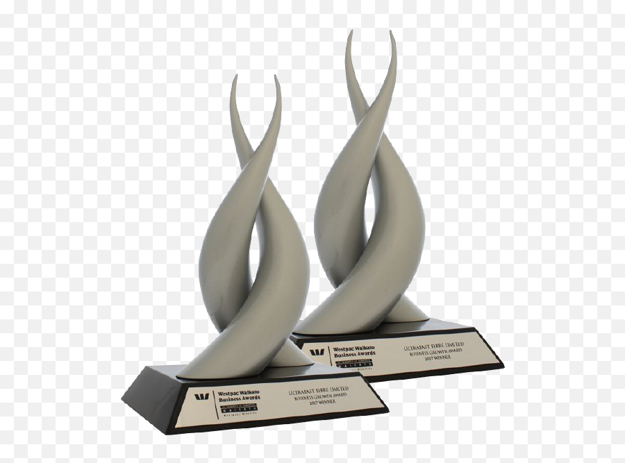 Emblems - Nz Trophy Shop Award Shop Figurine Png,Trophies Png