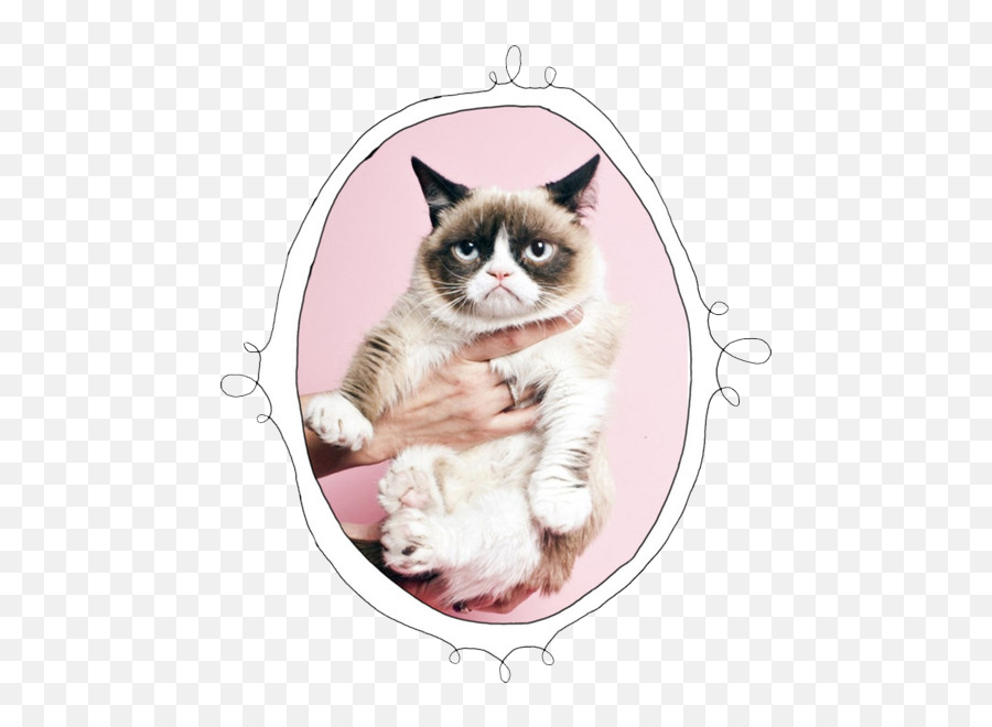 Download Cat Mine Transparent Grumpy - Grumpy Cat Pink Background Png,Grumpy Cat Png