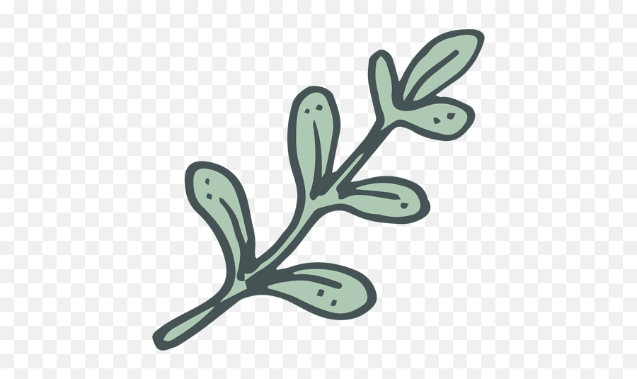 Olive Branch Hand Drawn Cartoon Icon 4 - Transparent Png Rama Olivo Dibujo Png,Olive Branch Png
