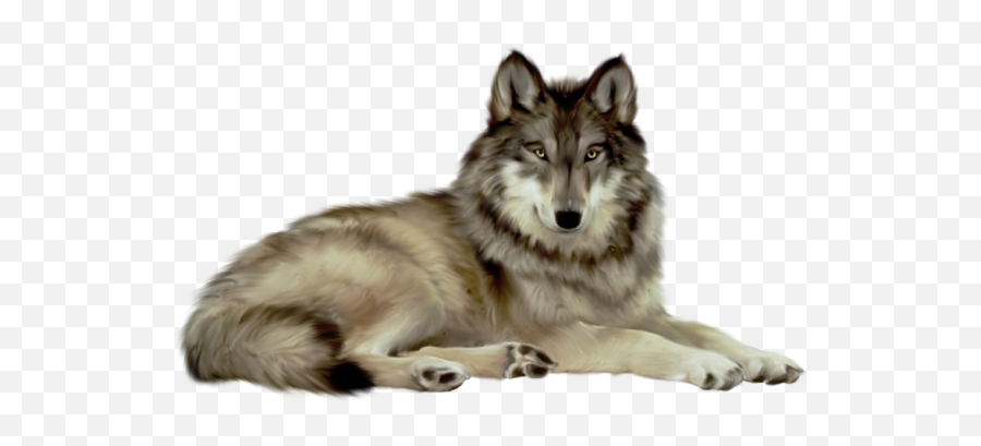 White Wolf Png Image Picture Download - Wolf Png,White Wolf Png