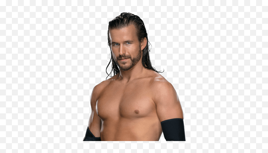 Adam Cole Wiki - Wwe Cardboard Cutout Png,Adam Cole Png