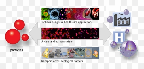 Empa - ParticlesBiology Interactions Overview Horizontal png
