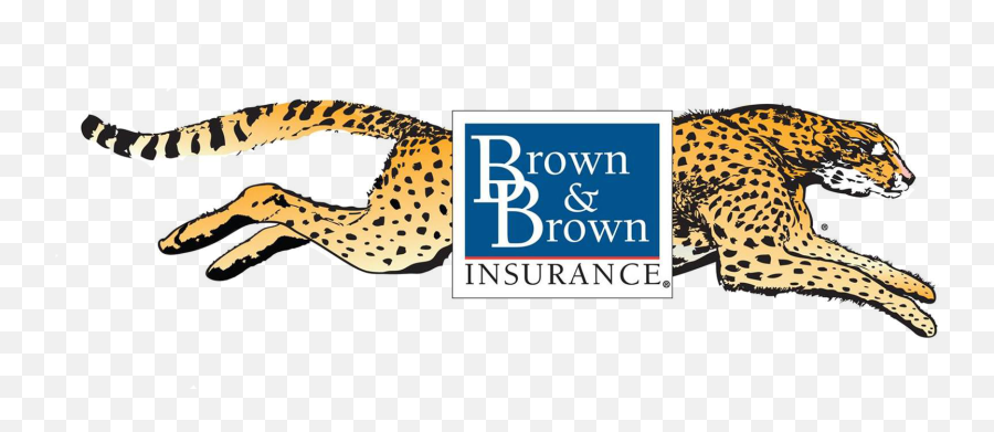 Brown And Cheetahnewjpg - Blank Background Ronald Brown And Brown Insurance Cheetah Png,Ronald Mcdonald Transparent Background