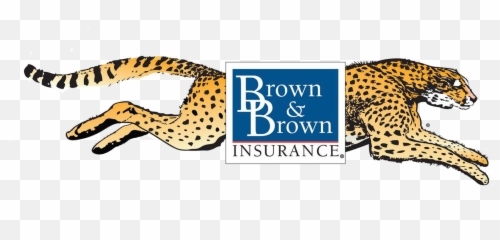Brown And Cheetahnewjpg - blank background Ronald And Insurance png