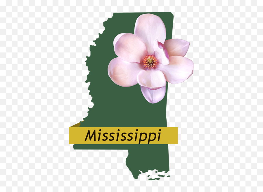 Mississippi Provider Information Southeastrans - Lovely Png,Mississippi State Logo Png