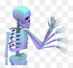 Download Hd Skeleton Skull Vapor Vaporwave - Transparent Funny Gif png