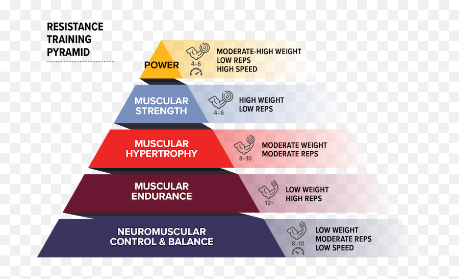 Military Workout Planning For Beginners Hprc - Strength Training Pyramid Png,Weight Training Icon