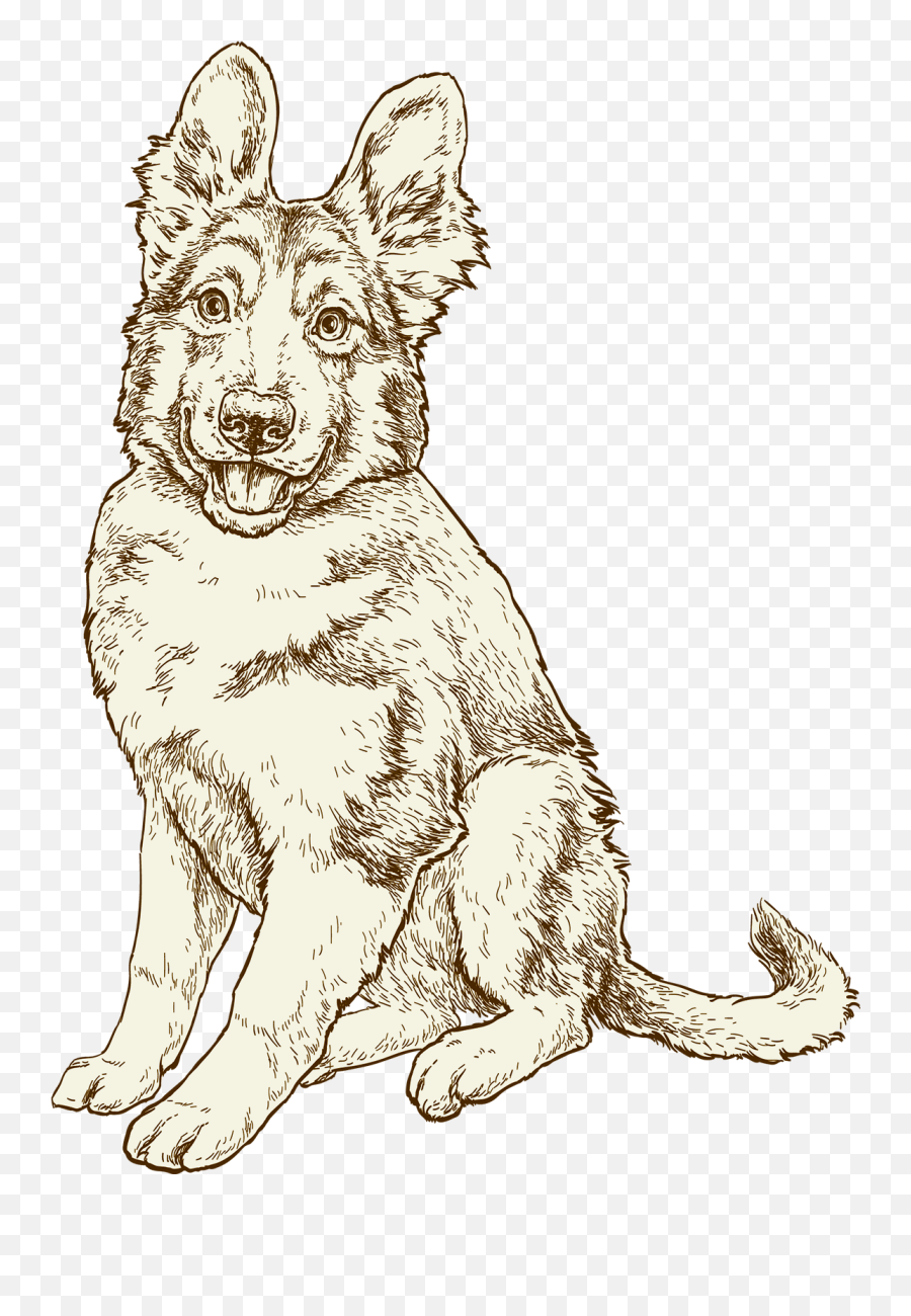 Healthy Dog Food For All Breeds Now Fresh - Northern Breed Group Png,German Shepard Puppy Icon