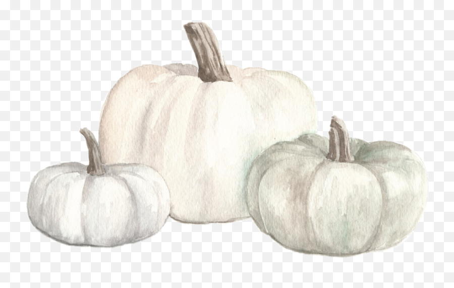 Watercolor White Pumpkins Fall Autumn Png - Transparent Background White Pumpkin,Pumkin Png