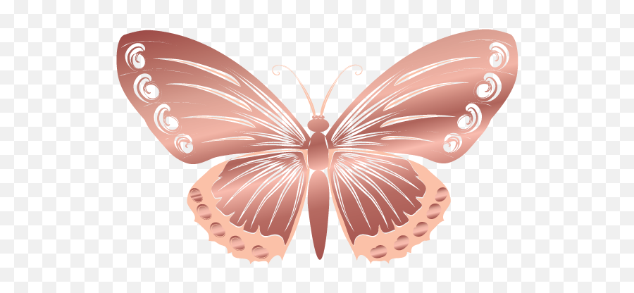 Luxury Butterfly Logo Design Template - Picture Of Butterfly Girly Png,Colorful Butterfly Icon