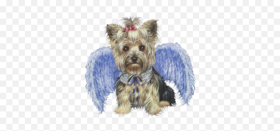Dog With Angel Wings - Dog With Angel Wings Png,Angel Wings Png