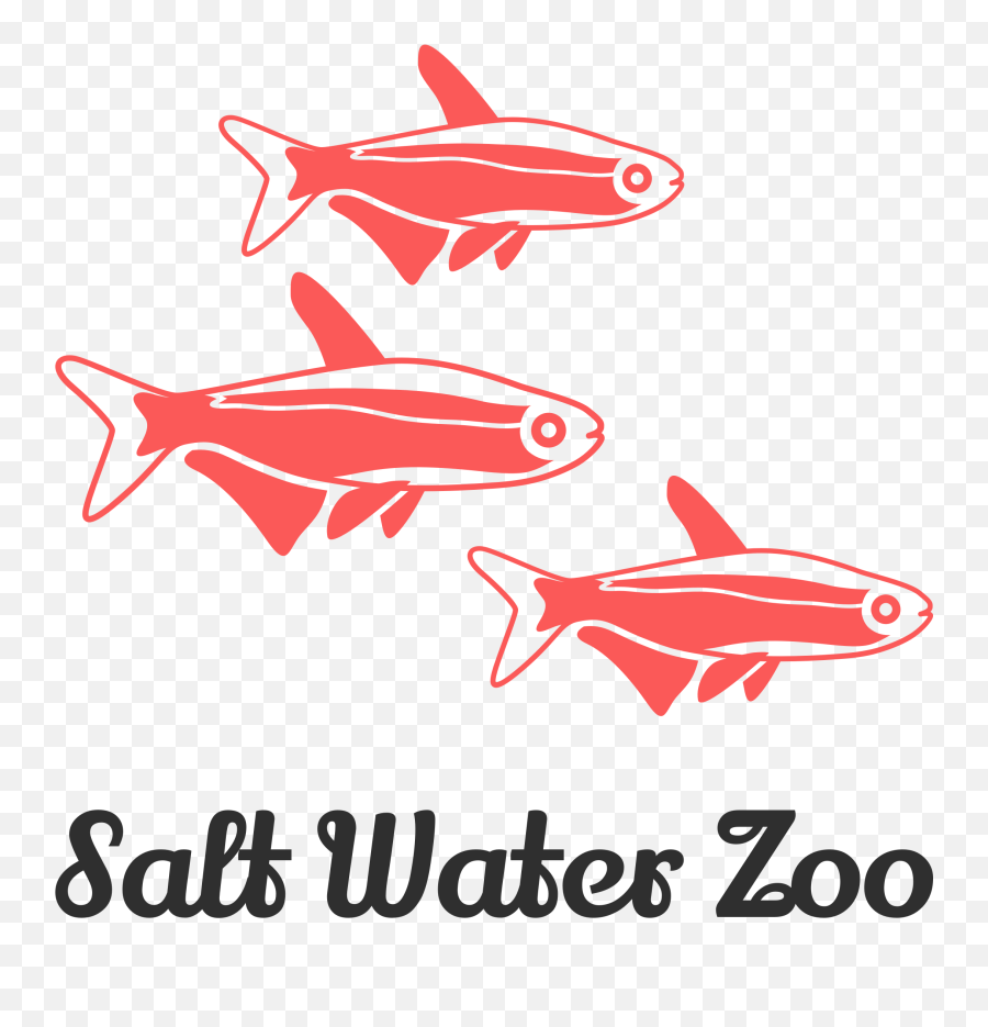 Aquarium Logos - Fish Products Png,Koi Fish Icon