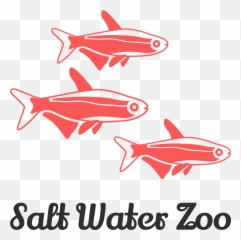 Aquarium Logos - Fish Products png