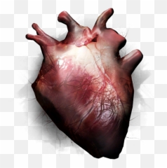 Überladen Call Of Duty Wiki Fandom - Blood png