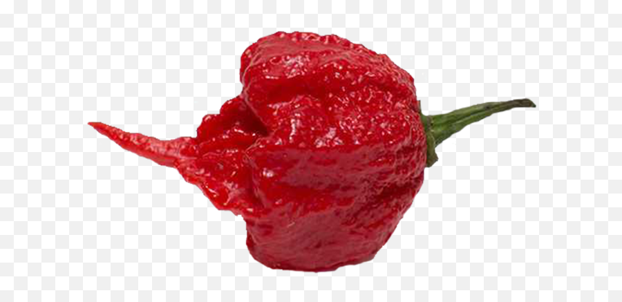 The Hottest Peppers In World By Pepper Johnnyu0027s Png Super Hot Icon
