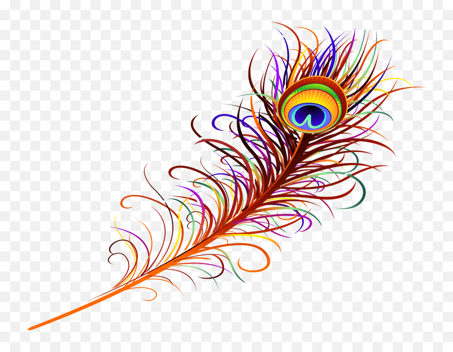 Noahs Arc Foundation Png Peacock Feather Icon