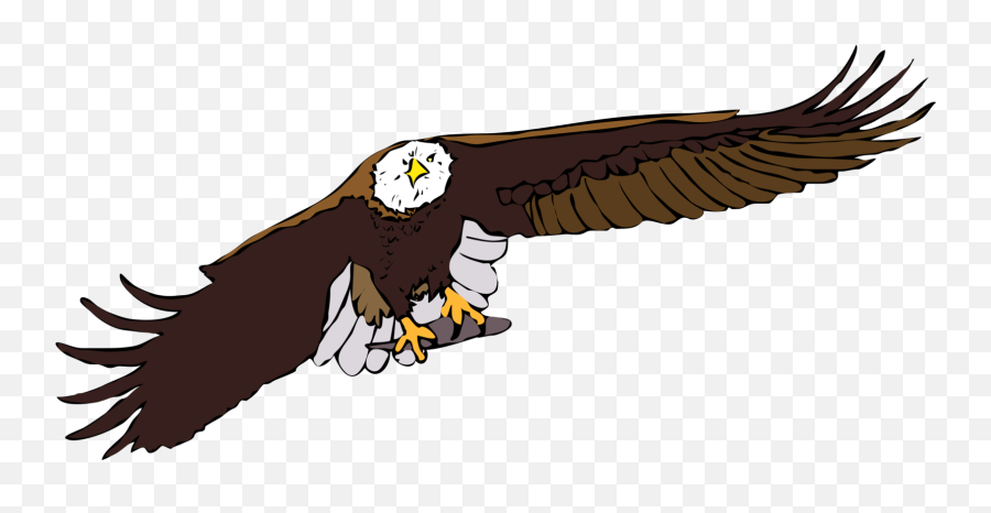 Bald Eagle Flying Png - Bald Eagle Whitetailed Eagle Flight Cartoon Eagle Flying Up,Bald Eagle Transparent