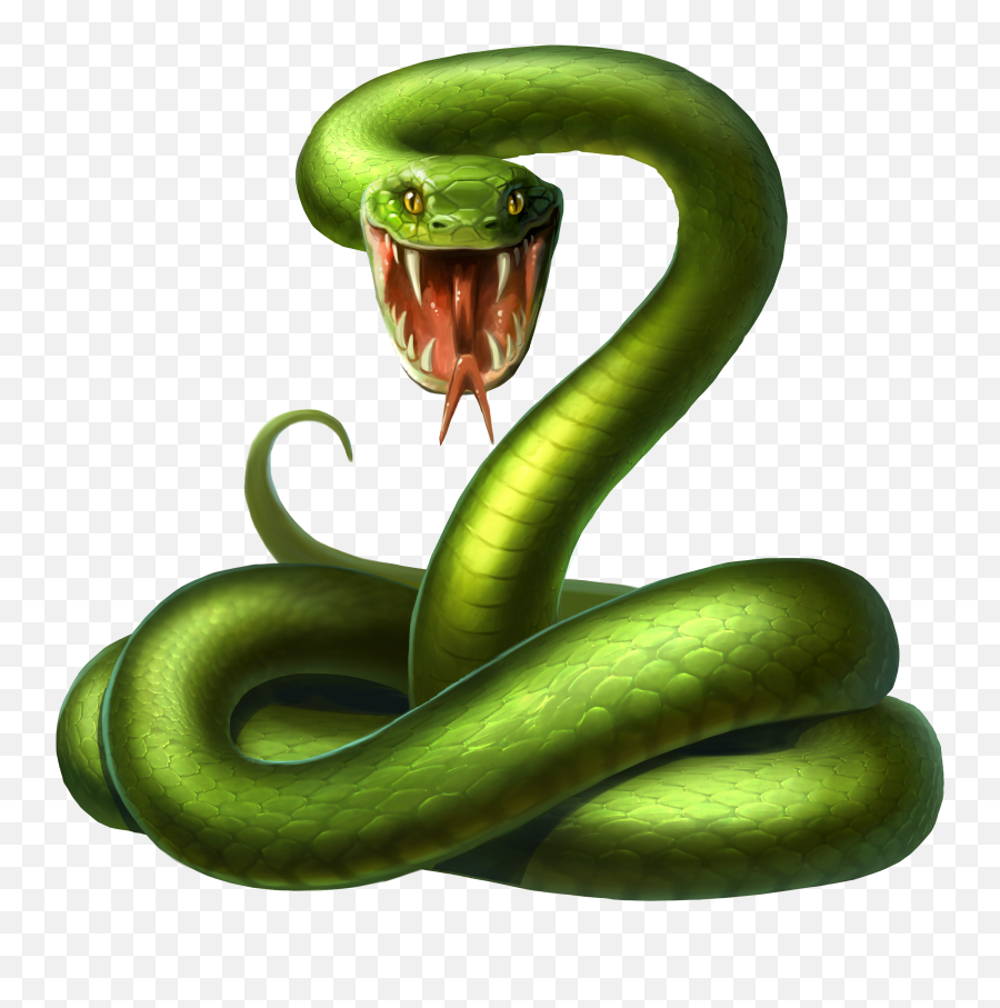 Snake Android Illustration Green Clipart - Full Size Clipart Snake Illustration Png,Serpent Png