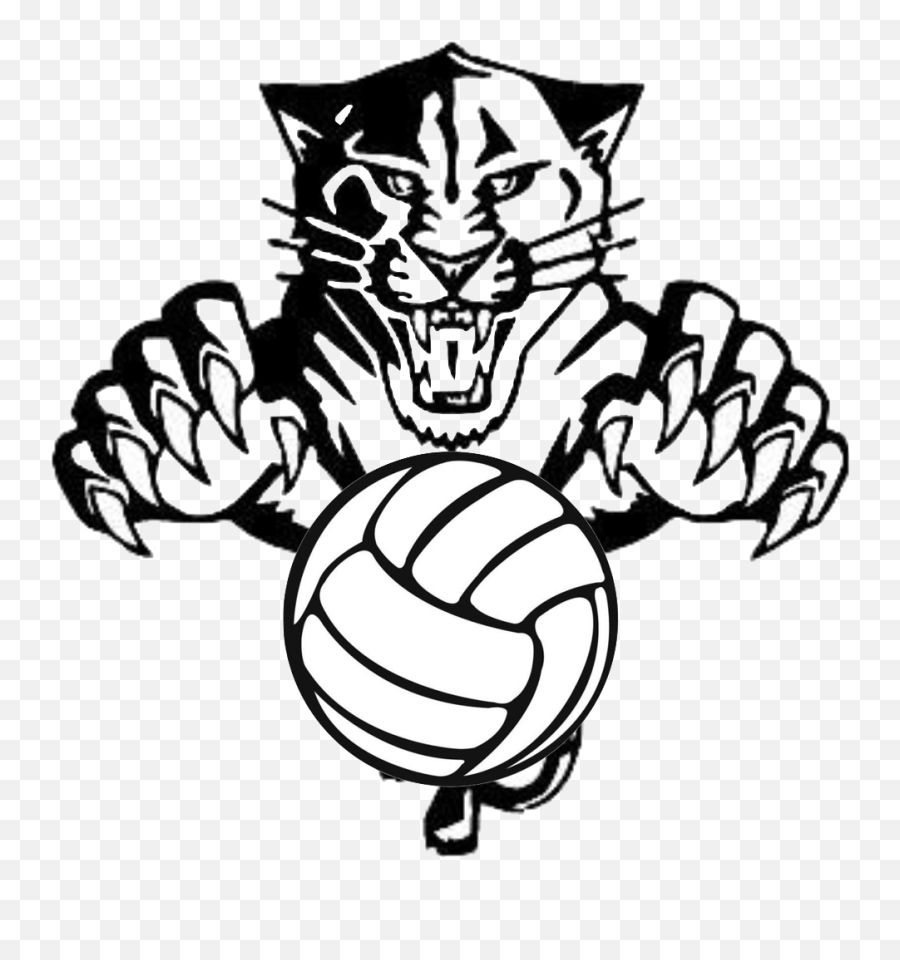 18u White Tigers U2013 Buckeye Volleyball - Black Panther Art Png,Tigers Png