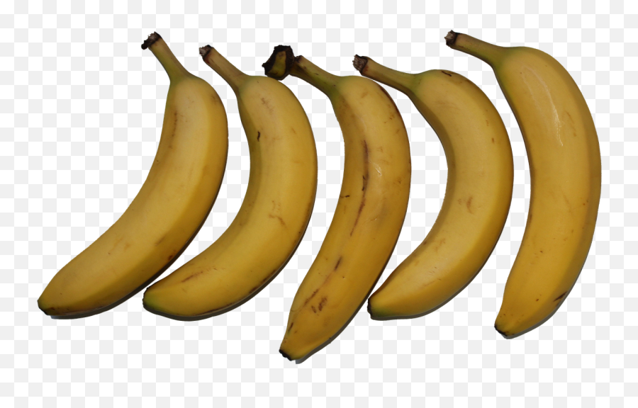 Fruitbananapngfreshfood - Free Image From Needpixcom Imagini Png Flori Exoctice,Banana Transparent Png