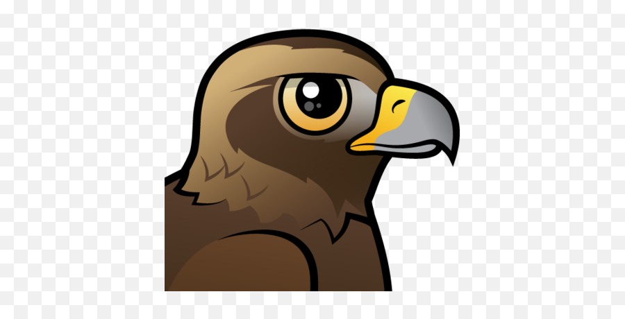 Cute Golden Eagle By Birdorable U003c Meet The Birds - Golden Eagle Cartoon Eagle Head Png,Golden Eagle Png