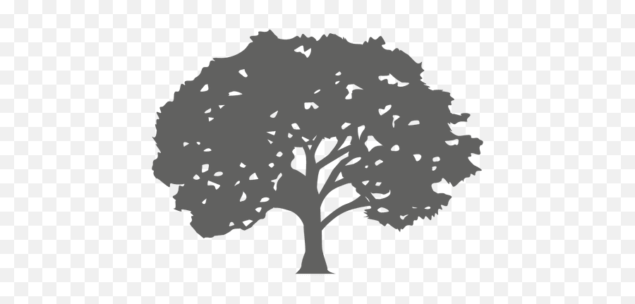 Maple Tree Silhouette 1 - Transparent Png U0026 Svg Vector File Maple Tree Silhouette Png,Maple Tree Png