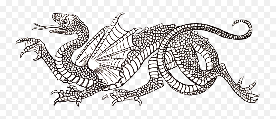 Great Pictures Of Cool Dragons - Heraldic Dragon Png,White Dragon Png