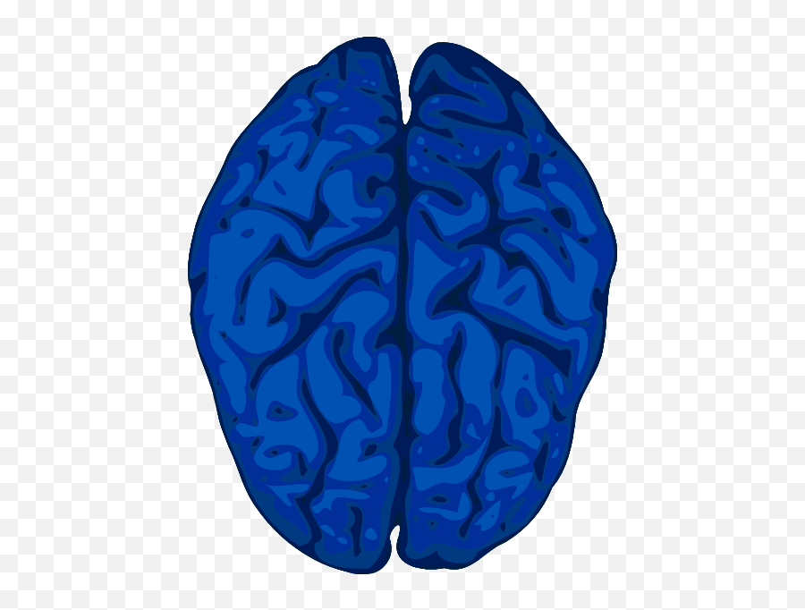 Blue Brain Clip Art - Vector Clip Art Online Brain Clipart Png,Brain Vector Png