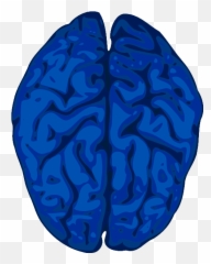 Blue Brain Clip Art - vector clip art online Clipart png