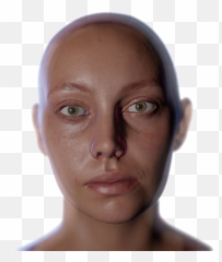 Emily Real - Time Look Development Eevee U2013 Pawo Png,Eevee Png