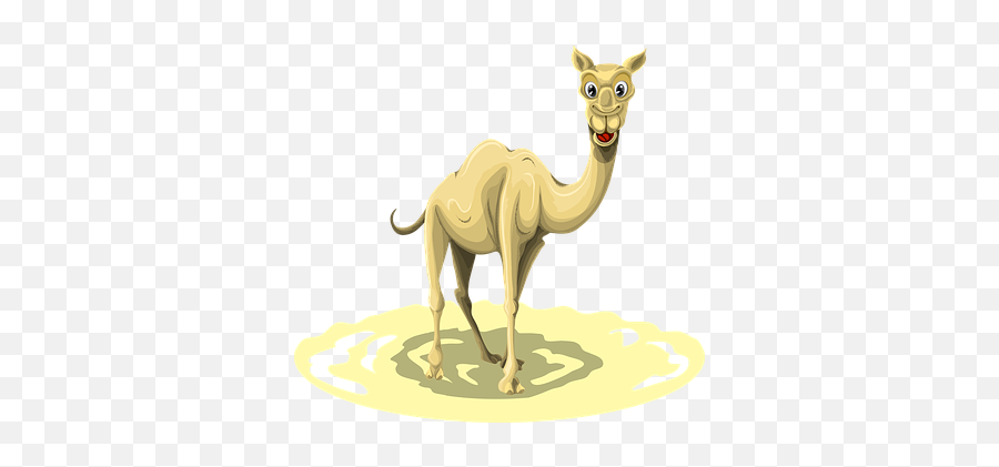 60 Free Camel U0026 Desert Vectors - Pixabay Camels Png,Camel Transparent
