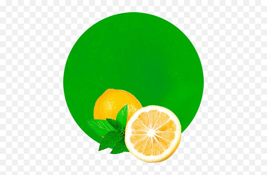 Lemon Mint Concentrate - Lemon Pudina Png,Lemon Png