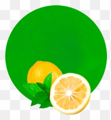 Lemon Mint Concentrate - Pudina Png