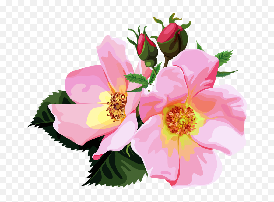 Library Of Transparent Pink Flower Crown Clip Freeuse - Transparent Flower Bouquet Clipart Png,Flower Crown Transparent