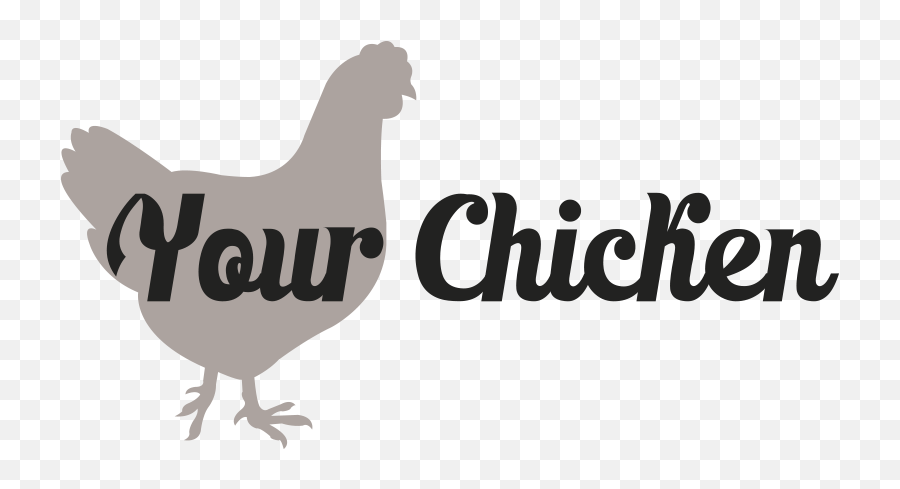 Products - Chicken Png,Chicken Logo