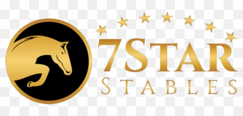 7 Star Stables - Stallion Png,Star Stable Logo