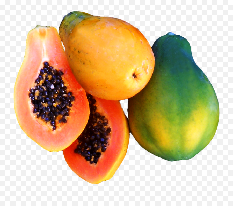 Download Fresh Papaya Png - Transparent Background Papaya Png,Papaya Png