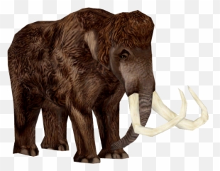 Zoo Tycoon 2 Woolly Mammoth Png - Woolly Mammoth Transparent Background,Mammoth Png