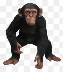 Rl Standing Chimpanzee B Png