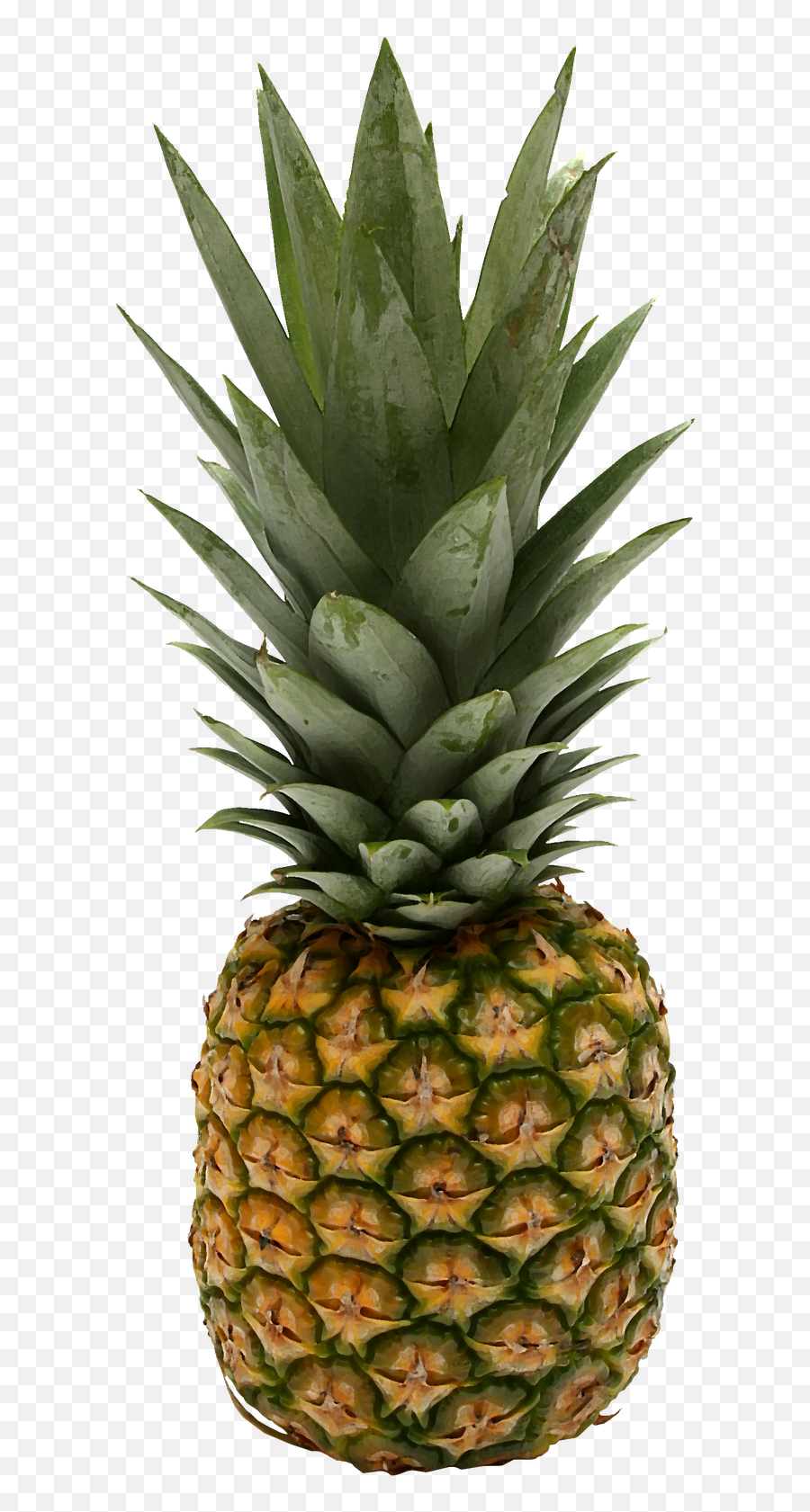 Pineapple Png - Small Pics Of Pineapples 643x1600 Png Pineapple Png,Pineapple Png