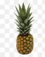 Pineapple Png - Small Pics Of Pineapples 643x1600